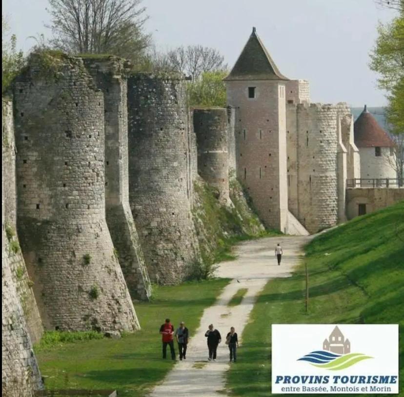 Maison Avec Jardin Clos Et Privatif Proche De Disneyland Et Parc Des Felins Saint-Augustin  Dış mekan fotoğraf